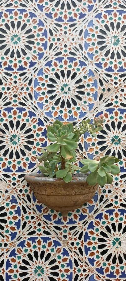 Hotel Del Virrey サルタ エクステリア 写真